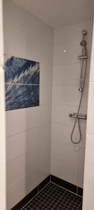 圣特罗让莱班La Belle Cordière的浴室设有淋浴,墙上挂有绘画作品