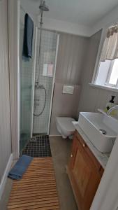 达尔维克达尔维克维加莫旅馆的带淋浴、盥洗盆和卫生间的浴室