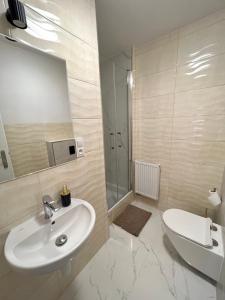 弗罗茨瓦夫SZWEDZKA22 PL Premium Rooms的一间带水槽、卫生间和镜子的浴室