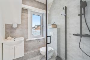 奥斯坦德maison des dunes的一间带卫生间、水槽和窗户的浴室