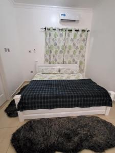 SUCCESS ROOM Ensuit - East Legon, Adjiringanor客房内的一张或多张床位