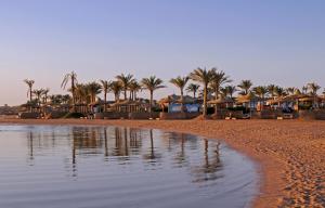 沙姆沙伊赫沙姆沙伊赫极光东方度假酒店的一片拥有房屋和棕榈树的海滩