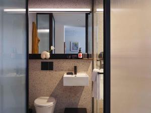 布鲁克林Penny Williamsburg的一间带卫生间、水槽和镜子的浴室