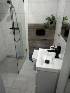 马佐夫舍地区托马舒夫Pokoje do wynajęcia的一间带水槽、淋浴和卫生间的浴室