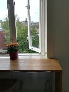 奈梅亨德格菲特住宿加早餐旅馆的一张桌子,上面有种盆栽的窗户