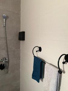 萨伊迪耶Appartement Irena neuf à 5 min de la plage的带淋浴和蓝色毛巾的浴室