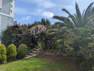 托基滨海别墅酒店的种有棕榈树和灌木的花园