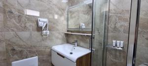 培拉特AAA Apartment的一间带水槽和淋浴的浴室