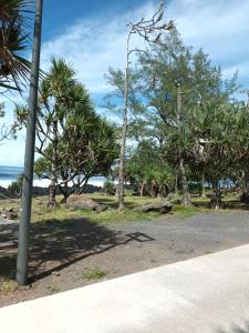 圣菲利普Résidence L' ALAMANDA的一条棕榈树和大海相依的道路
