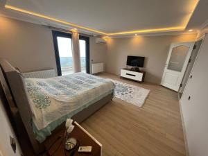 特拉布宗Villa Nature的一间卧室配有一张大床和电视