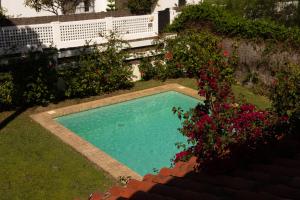 罗切Villa América Chalet Independiente con Piscina en Urbanización Roche Conil Cádiz Andalucía España的鲜花庭院中的游泳池