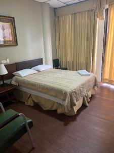 瓜亚基尔里佐酒店的配有一张床和一把椅子的酒店客房