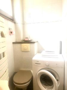 阿梅尔斯克维AUX DEUX CIGOGNES AMMERSCHWIHR的一间带洗衣机和卫生间的小浴室