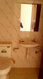MUSITA GUEST WING MOTEL的一间带卫生间、水槽和镜子的浴室