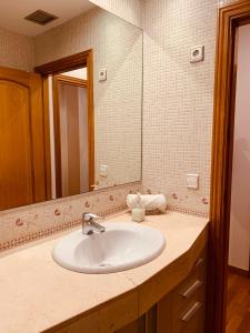 巴塞罗那Hermoso piso en el centro de Barcelona的一间带水槽和镜子的浴室