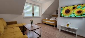 耶莱尼亚古拉Kolorowe Cieplice - Apartamenty z widokiem na Karkonosze的客厅配有沙发和墙上的电视