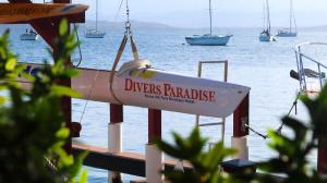博卡斯德尔托罗Divers Paradise Boutique Hotel的码头上的标志,船上的船只