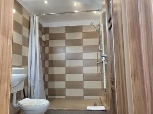 克卢日-纳波卡Casa Rezidentiala Aria的一间带卫生间和淋浴的浴室