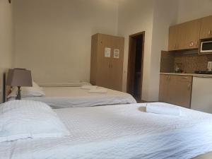克卢日-纳波卡Casa Rezidentiala Aria的酒店客房带两张床和厨房