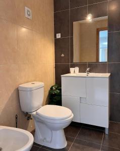 阿马马尔Douro Valley Terrace Apartments的一间带卫生间、水槽和镜子的浴室