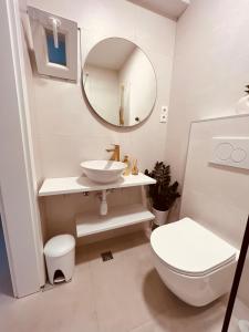 赫瓦尔Oleander Apartment & Room Centar的一间带水槽、卫生间和镜子的浴室