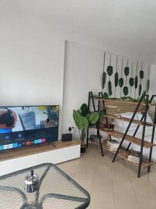 奥瑞斯蒂亚斯Φρίντα στο κέντρο της Ορεστιάδας的客厅配有平面电视和沙发。