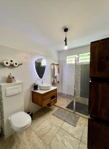 卡佩斯特雷贝勒奥Ti bwa Lodge的浴室配有卫生间、盥洗盆和淋浴。
