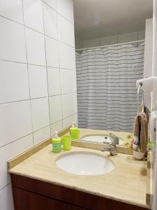 圣地亚哥apart centro city spa的浴室的柜台设有水槽和镜子