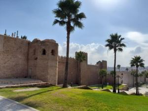 拉巴特Nice apartment beach front, close to Rabat main sightseeing. Fiber WiFi的前面有棕榈树的墙