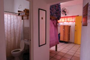 拉巴斯Hostel Casa Esterito的一间带卫生间和淋浴帘的浴室