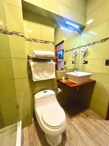 圣地亚哥HOTEL BOUTIQUE CASA NOBLE SPA的浴室配有白色卫生间和盥洗盆。