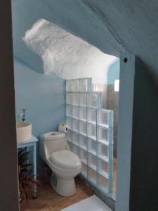 德雷克Domito Corcovado的一间带卫生间和水槽的浴室