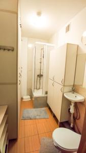 基希讷乌Guest House Гостевой Дом的浴室配有卫生间、盥洗盆和淋浴。