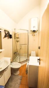 基希讷乌Guest House Гостевой Дом的带淋浴、卫生间和盥洗盆的浴室