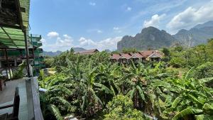 万荣Domon Riverside Hotel的享有以山脉为背景的农场的景致。