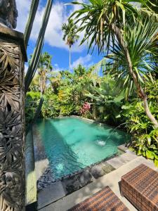 乌布BUDA AMITABA的棕榈树热带花园中的游泳池
