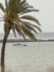 Ouled YanegBeach house wing in kerkennah island. Fully equipped place for 4 guests and peaceful relaxing stay. Calm sea and beautiful sun rise that can be enjoyed straight on the beach or from the house terrace.的棕榈树和水中的船