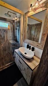 希欧福克Lake House Siófok的一间带水槽和淋浴的浴室