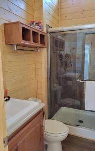 瓦莱080 Tiny Home nr Grand Canyon South Rim Sleeps 8的浴室配有卫生间、淋浴和盥洗盆。