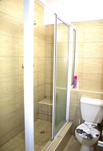德班Unit 104 @Tenbury的一间带卫生间和玻璃淋浴间的浴室