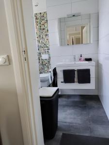 温特斯韦克B&B de Maalderi-je的一间带水槽、卫生间和镜子的浴室