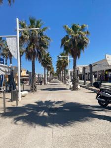 维亚斯Ruhig gelegenes Mobilhome La Carabasse的一条棕榈树和摩托车停放在街上的街道