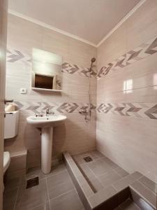 扎布利亚克SNAM Rooms&Apartment的一间带水槽和卫生间的浴室
