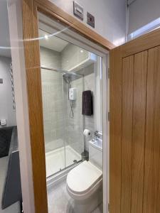 利物浦Belvedere Aparthotel - 83 Mount Pleasant的一间带卫生间和淋浴的小浴室