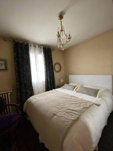 塞尔河畔阿尔帕容Les Marmottes的卧室配有一张带吊灯的大型白色床。