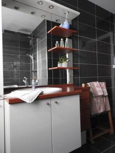 塞尔河畔阿尔帕容Les Marmottes的浴室设有白色水槽和黑色瓷砖