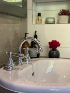 ForthForth River Cottage的浴室水槽设有水龙头和红玫瑰