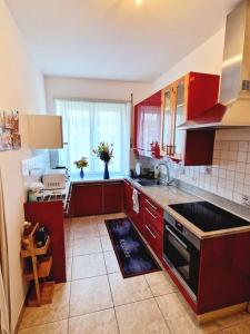 戈尔多拉Appartamento 4.5 - Gordola的一间厨房,配有红色橱柜和大窗户