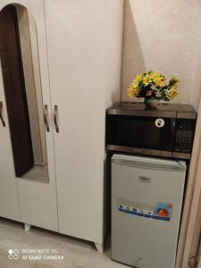 巴库LIVE-INN COZY & CENTRAL apartment with a LIFT, GARDEN & AIRPORT SHUTTLE的花瓶冰箱顶部的微波炉