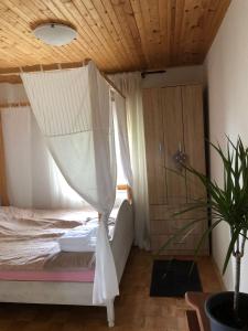 PopovacGoldberg - Apartman Lana的一间卧室配有一张带蚊帐的床